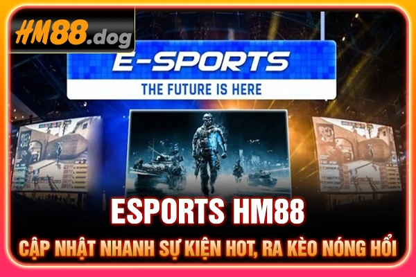 Esports HM88 - Cập Nhật Nhanh Sự Kiện Hot, Ra Kèo Nóng Hổi