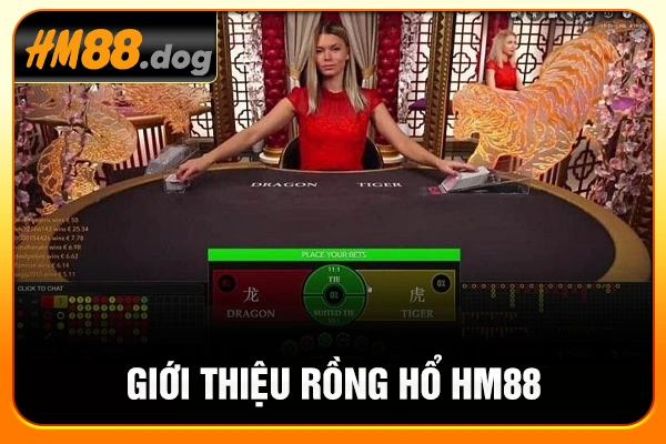 Giới thiệu Rồng Hổ HM88