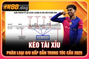 Kèo Tài Xỉu - Phân Loại O/U Hấp Dẫn Trong Túc Cầu 2025