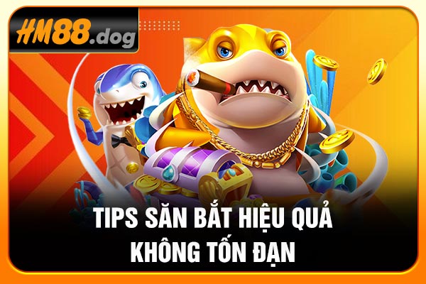 Tips săn bắt hiệu quả không tốn đạn Tips săn bắt hiệu quả không tốn đạn