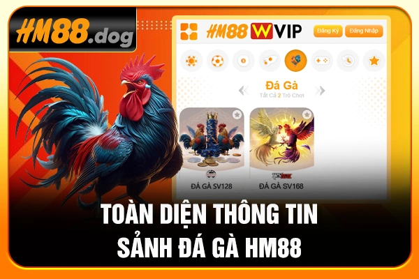 Toàn diện thông tin sảnh đá gà HM88