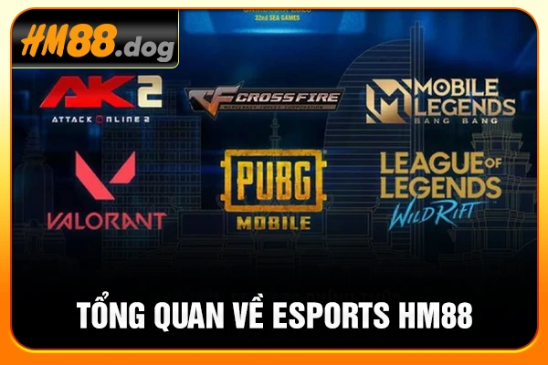 Tổng quan về esports HM88