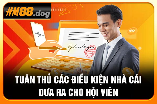 Tuân thủ các điều kiện nhà cái đưa ra cho hội viên Tuân thủ các điều kiện nhà cái đưa ra cho hội viên